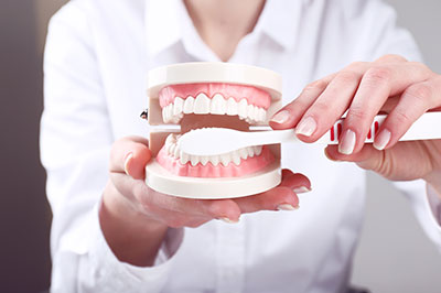 The image shows a person holding a dental model with open mouths, examining it closely while wearing a white shirt.